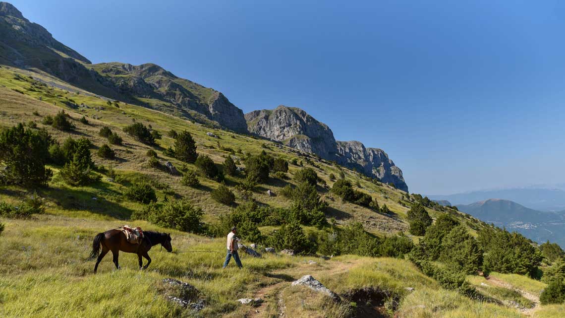 Ζαγορι Marathon+ 44km | Ορεινός Μαραθώνιος Ζαγόρι  | Zagori Mountain Running |Running Scenes Τρέξιμο Διατροφή Αθλητισμός